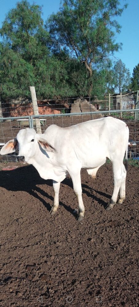 Lot 313 Feb 25
