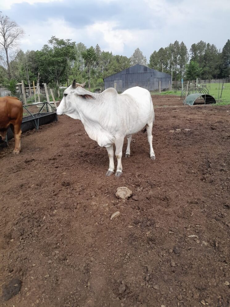 Lot 319 Feb 25