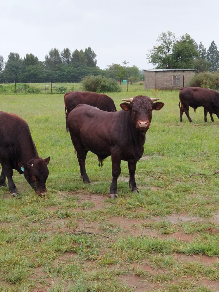 Lot 320 Feb 25