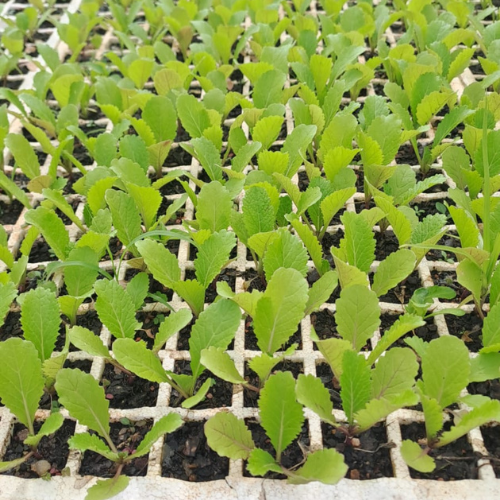 Lot 159 Apr 25