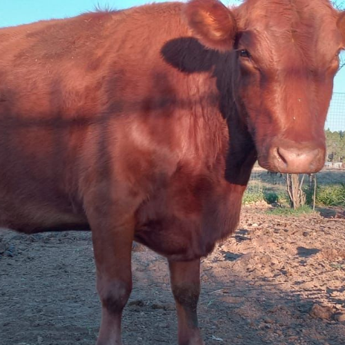 Lot 154 May 25