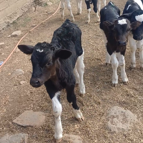 Lot 125 Aug 25