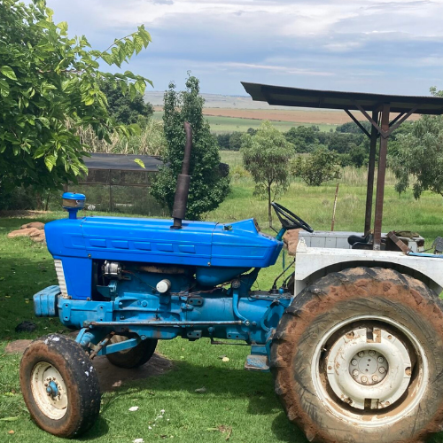 Lot 262 Aug 25