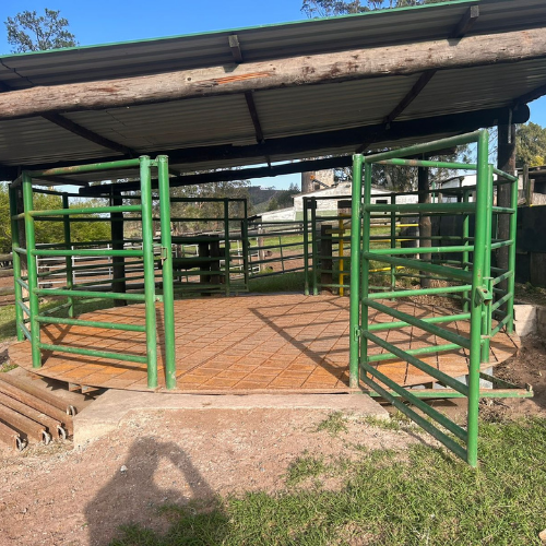 Lot 431 Sep 25