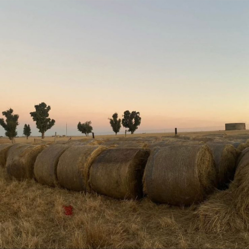 Lot 550 Sep 25