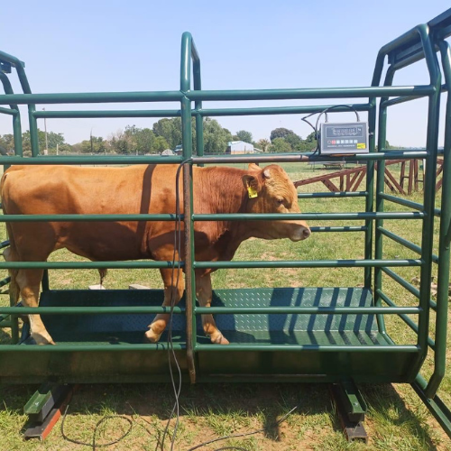 Lot 457 Oct 25