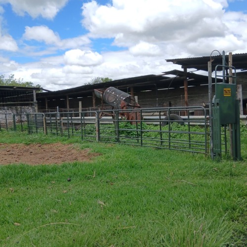 Lot 293 Nov 25