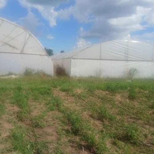 Lot 127 Jan 26