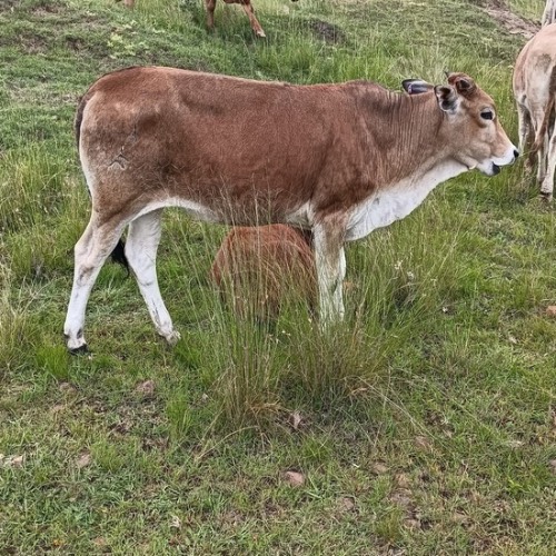 Lot 23 Jan 26