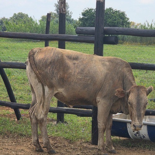 Lot 38 Jan 26