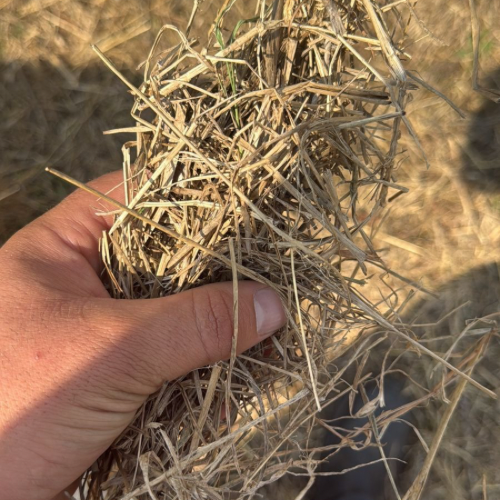 Lot 196 Feb 26