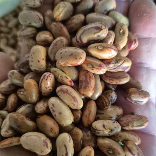Lot 116 Mar 26