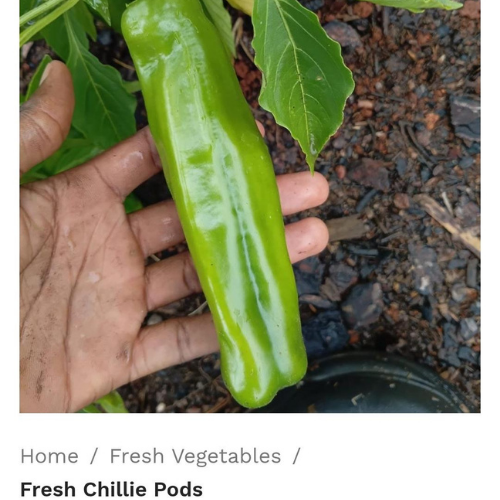 Lot 165 Apr 26