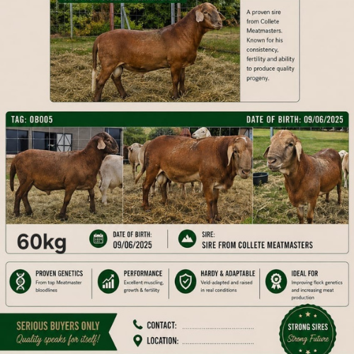 Lot 214 May 26
