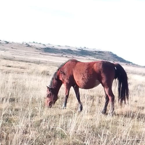 Lot 226 May 26