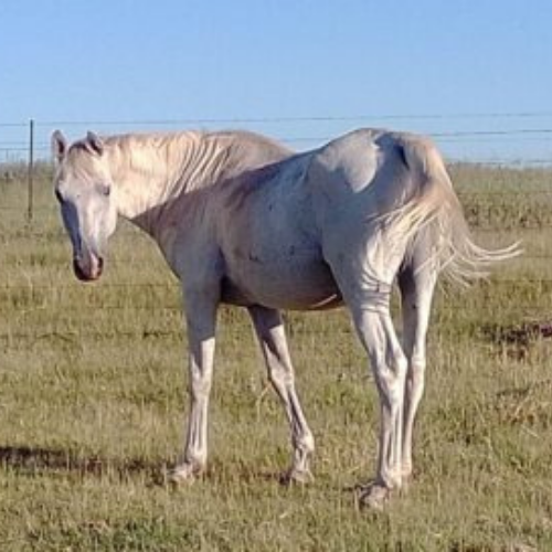 Lot 21 May 26