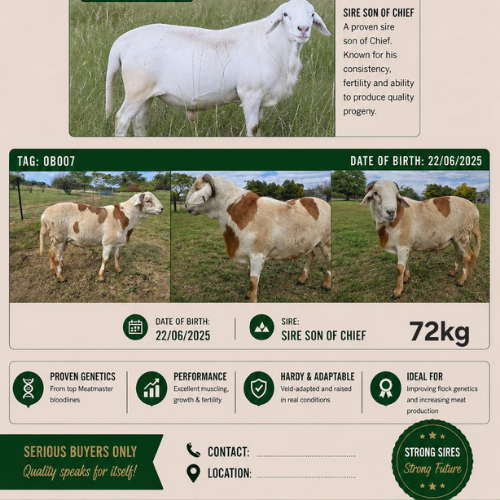 Lot 123 May 26