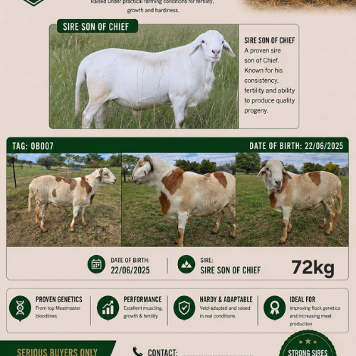 Lot 160 Jul 26