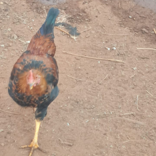 Lot 114 Jun 26