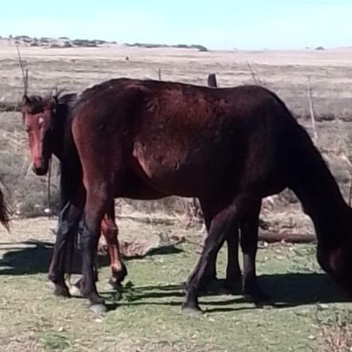 Lot 70 Jun 26