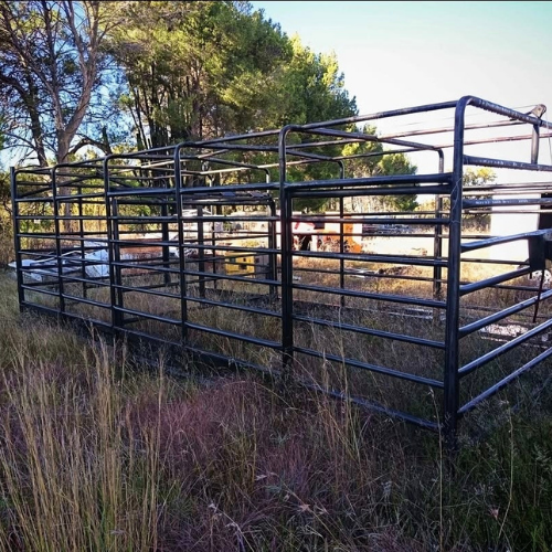 Lot 207 Jun 26