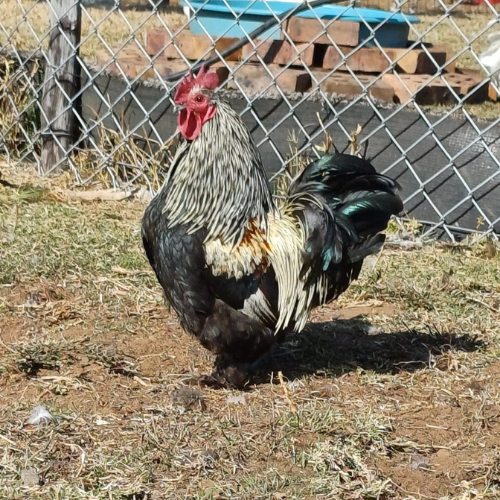 Lot 235 Jun 26