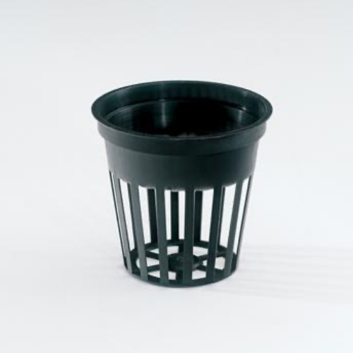 Lot 142 Jun 26