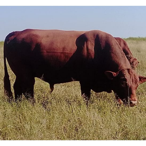 Lot 39 Jun 26