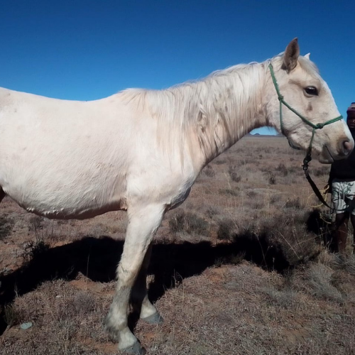 Lot 411 Jul 26