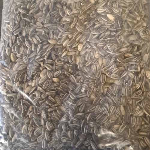 Lot 185 Jul 26