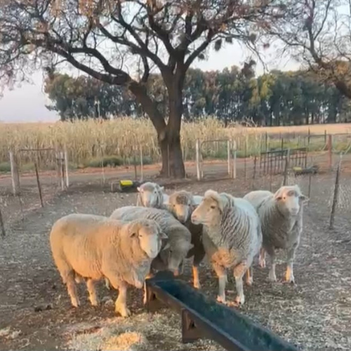 Lot 144 Aug 26