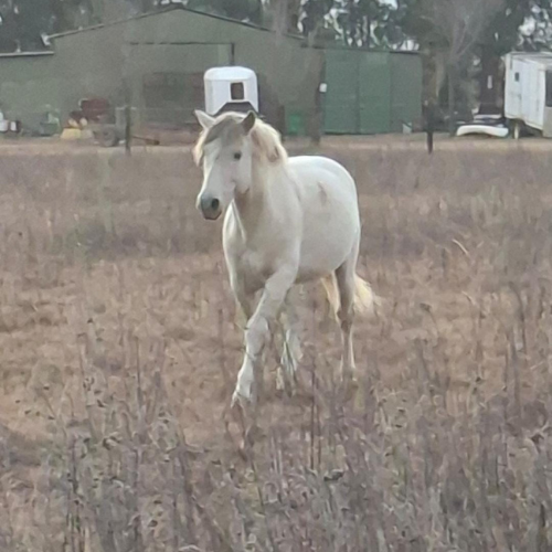 Lot 752 Aug 26