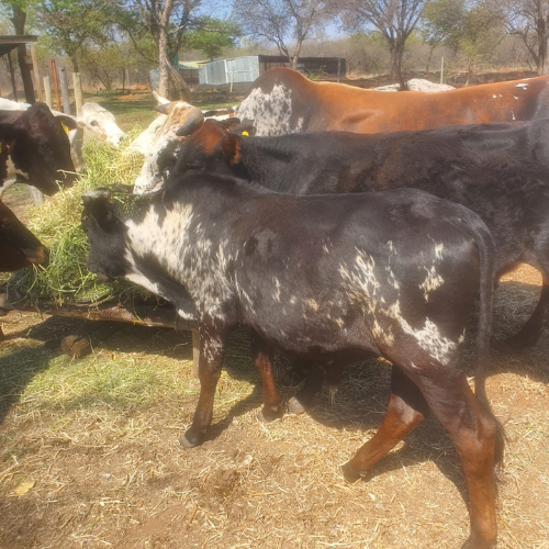 Lot 324 Sep 26