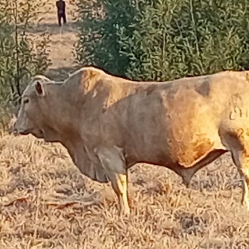 Lot 91 Sep 26